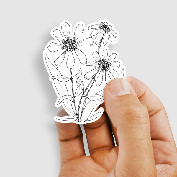 3" vinyl sticker of black and white hand illustration of gloriosa daisies shown with a woman's hand holding the sticker