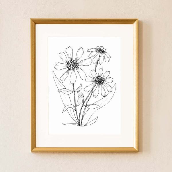 Mix or Match Gift Set of black and white illustrated botanical designs showing the illustrated gloriosa daisy art print