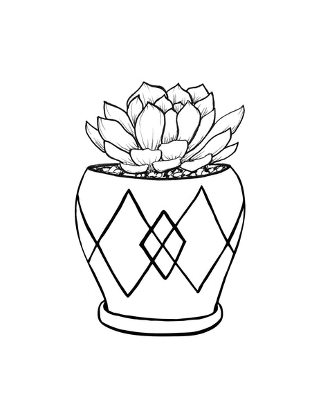 Wall art illustration of a hen and chick succulent in a mod style pot with diamond patterns in black and white