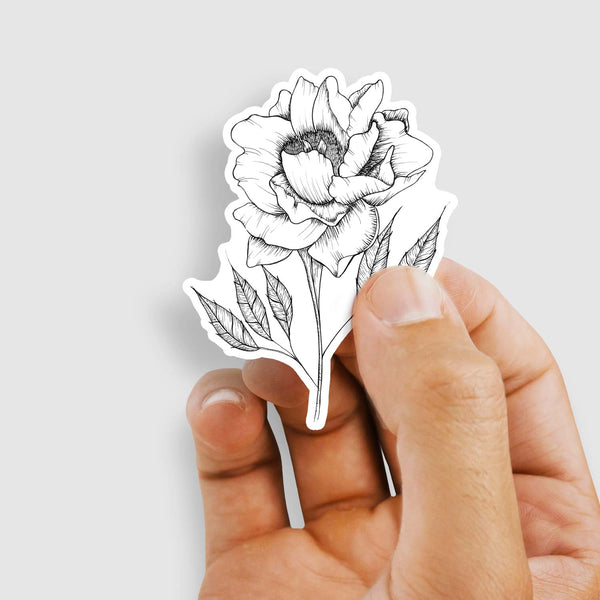 3" hand illustrated, black and white botanical peony vinyl sticker shown with a woman's hand holding the sticker
