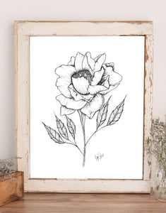 Wall art of line drawing illustration of a peony with stem and leaves