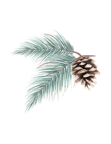 Watercolor painting of evergreen branches and pinecone shown