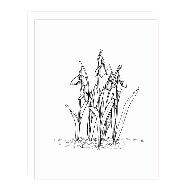 Notecard with an illustration of a cluster of snowdrops blooming in black and white