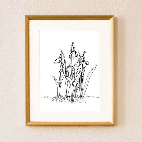 Mix or Match Gift Set of black and white illustrated botanical designs showing the illustrated snowdrops art print